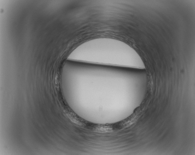 X0000084030619200702160854