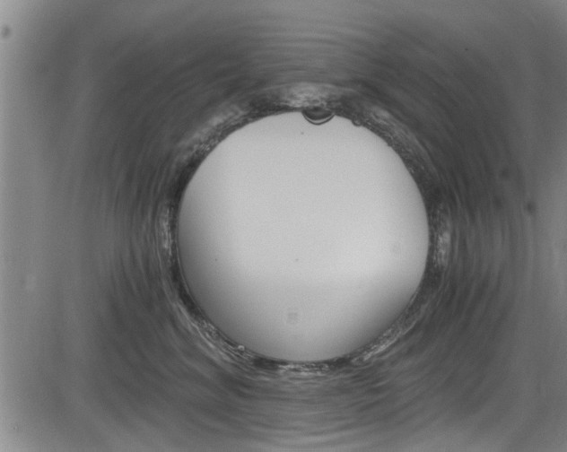 X0000084030620200702160854