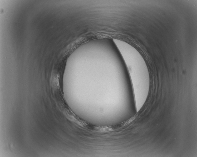 X0000084030621200702160854