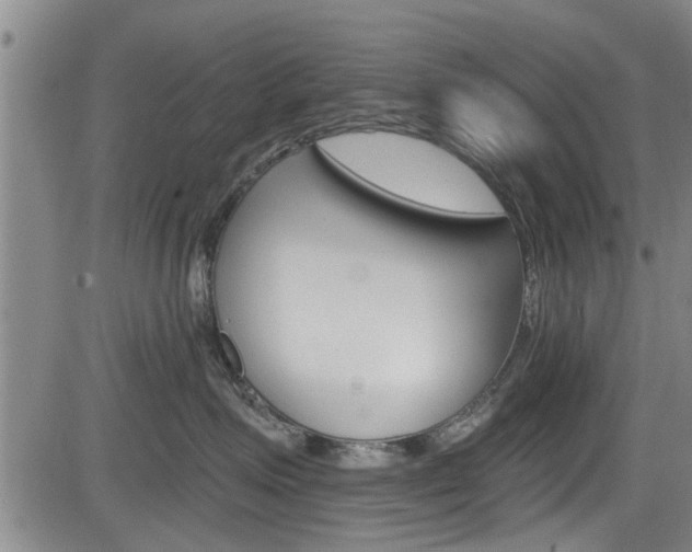 X0000084030623200702160854