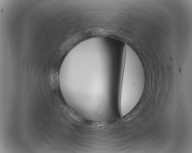 X0000084030624200702160854