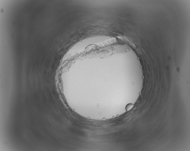 X0000084030672200702160854