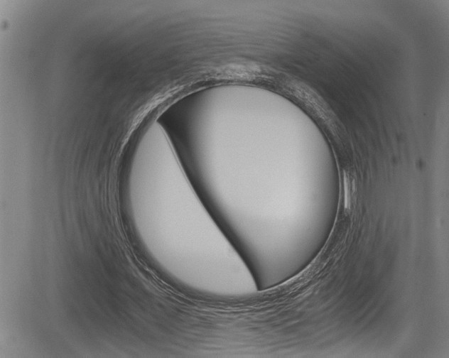 X0000084030675200702160853