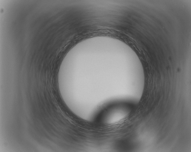 X0000084030750200702160852