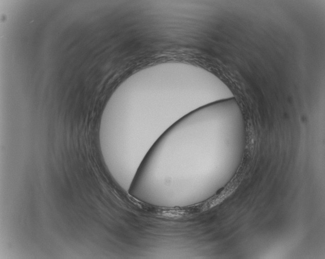 X0000084030758200702160852