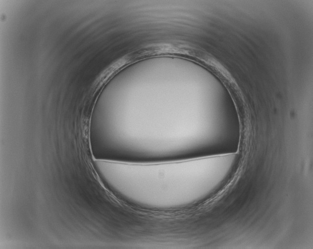 X0000084030793200702160851