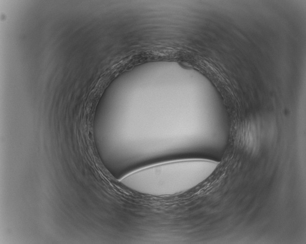X0000084030817200702160850