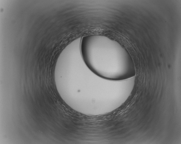 X0000084030818200702160850