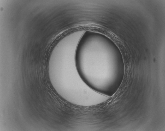 X0000084030822200702160850
