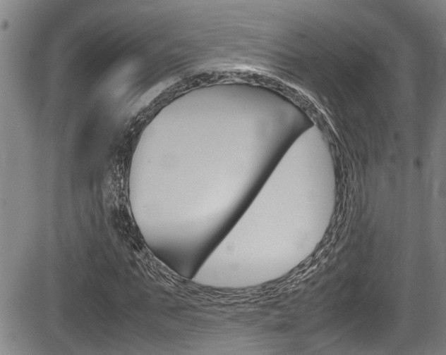 X0000084030871200702160849