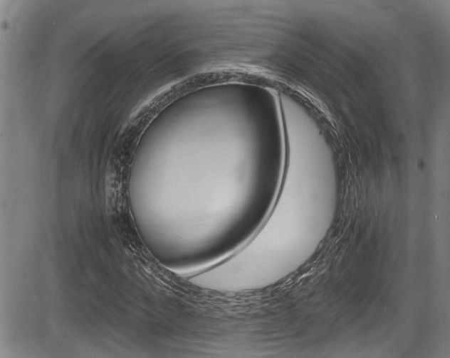 X0000084030872200702160849
