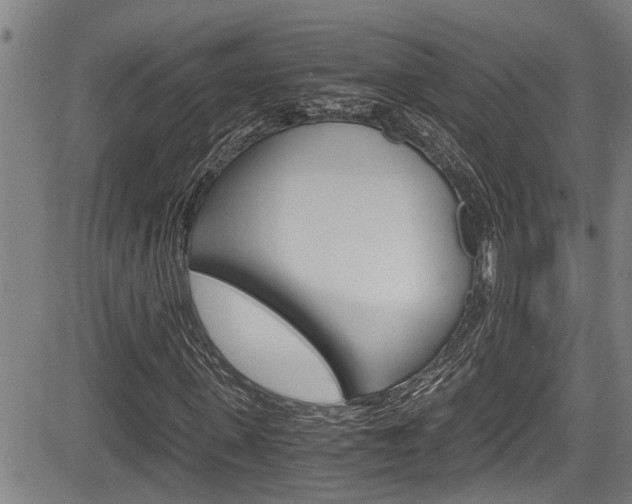 X0000084030915200702160848