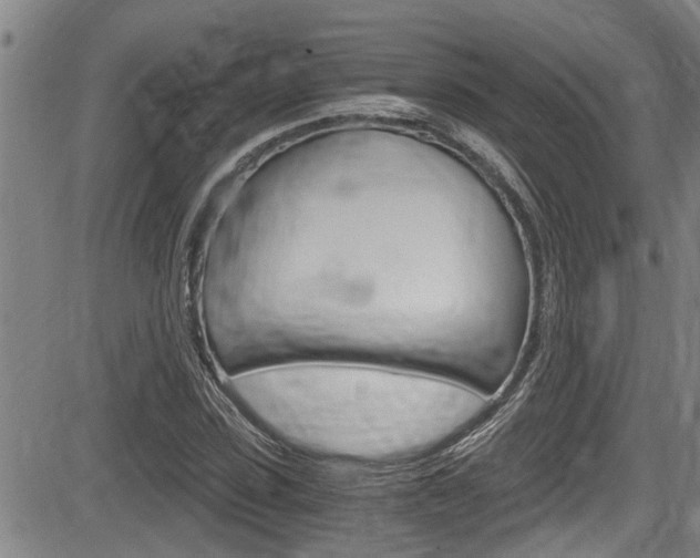 X0000084030923200702160848