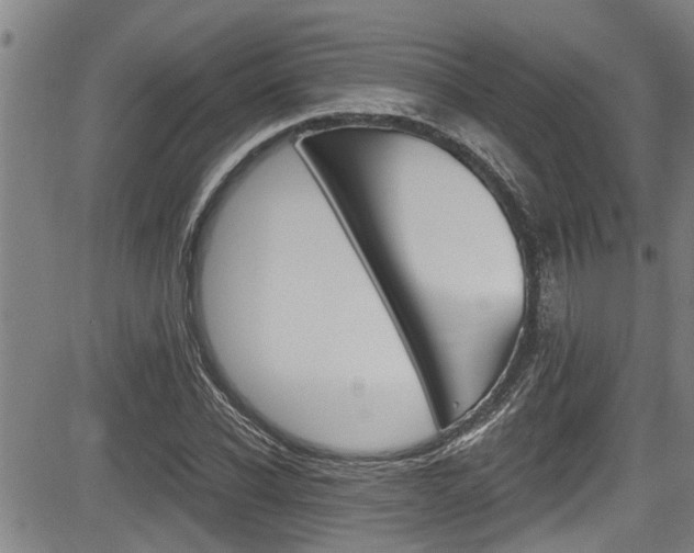X0000084030926200702160848