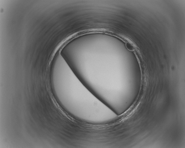 X0000084030933200702160848