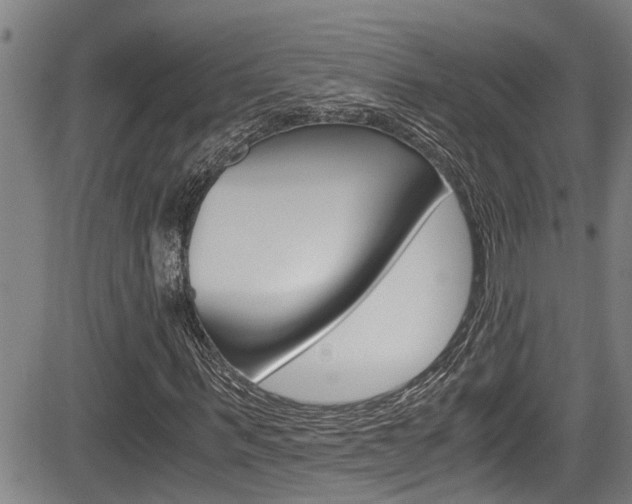 X0000084030963200702160848