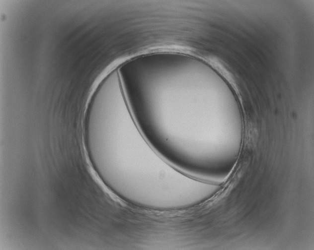X0000084031005200702160847