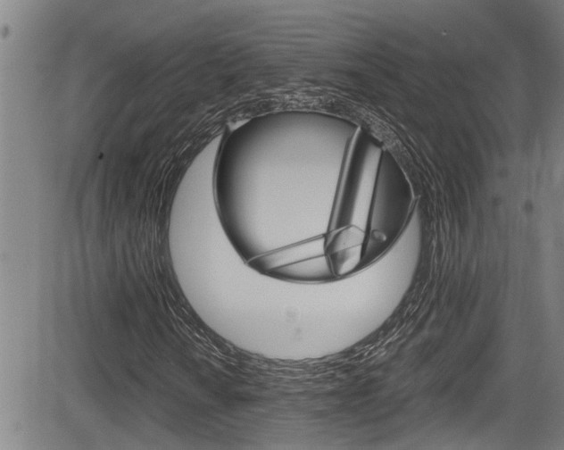 X0000084031010200702160846