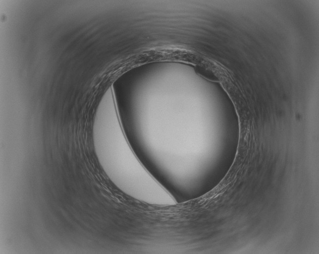 X0000084031014200702160847
