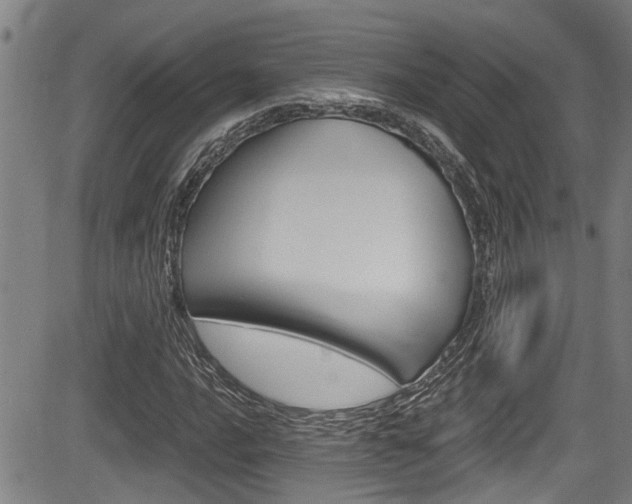 X0000084031016200702160847