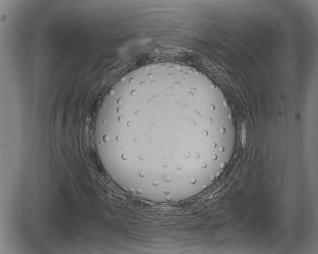 X0000084031059200702160846