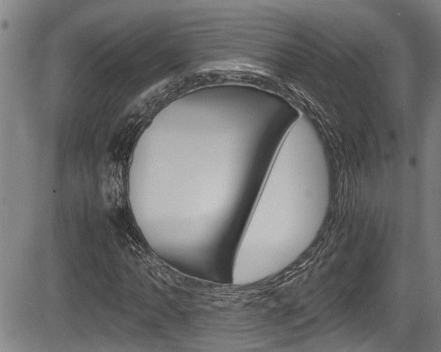 X0000084031062200702160846