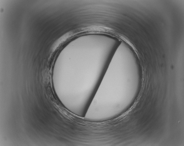 X0000084031067200702160846