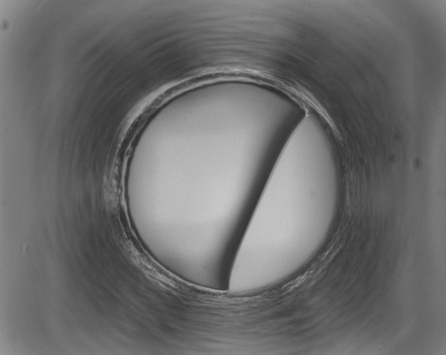 X0000084031068200702160846