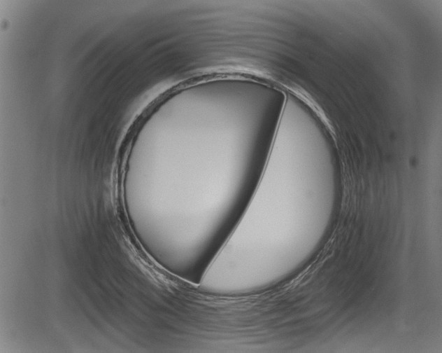 X0000084031076200702160846
