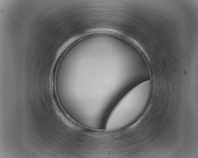 X0000084031082200702160846
