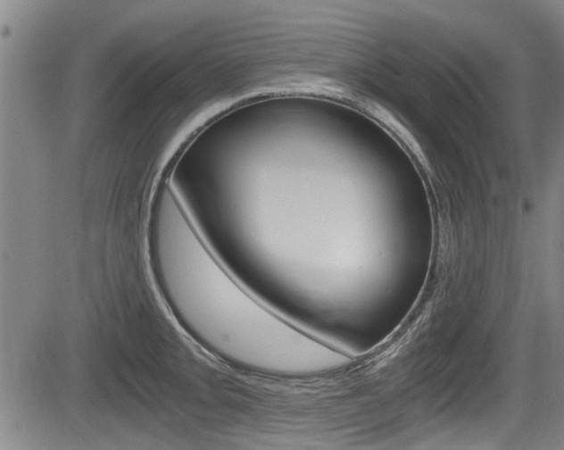 X0000084031093200702160846