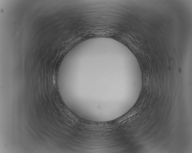 X0000084031106200702160845