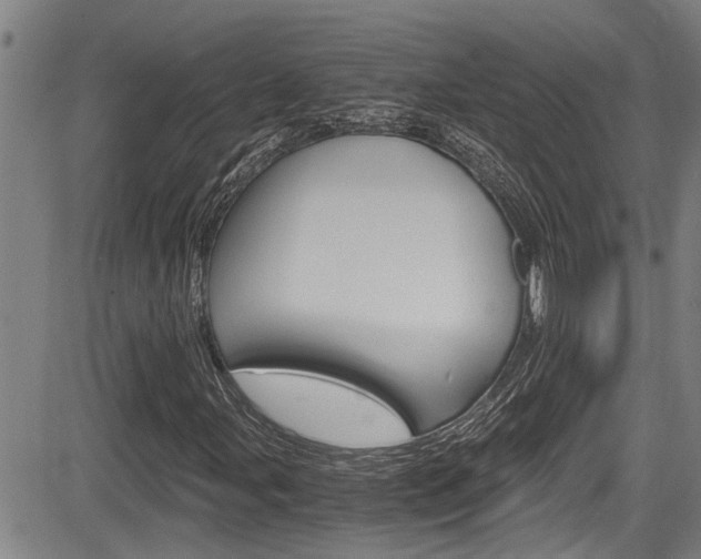 X0000084031107200702160845