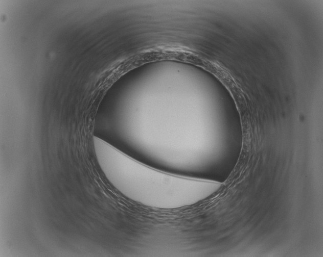 X0000084031110200702160845