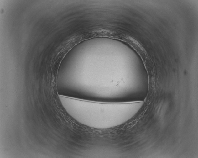 X0000084031111200702160845