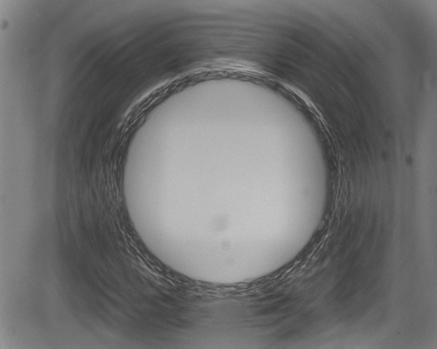 X0000084031112200702160845