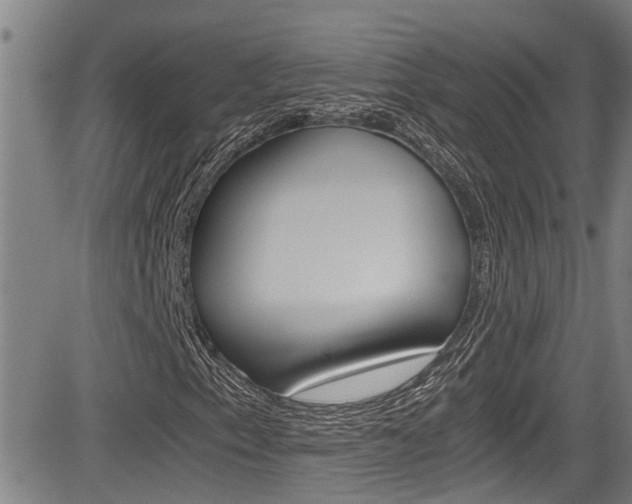 X0000084031153200702160845
