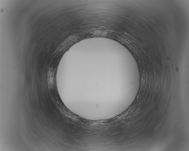 X0000084031154200702160845