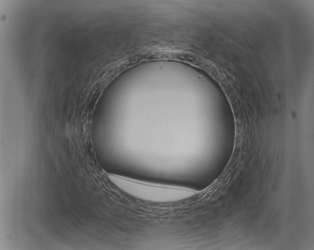 X0000084031157200702160845