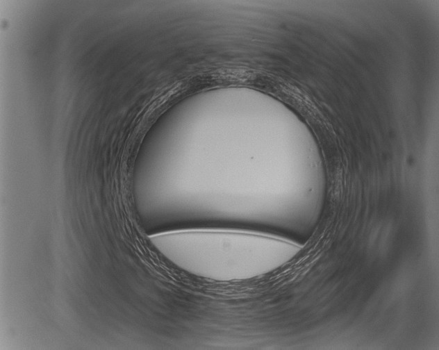 X0000084031201200702160843