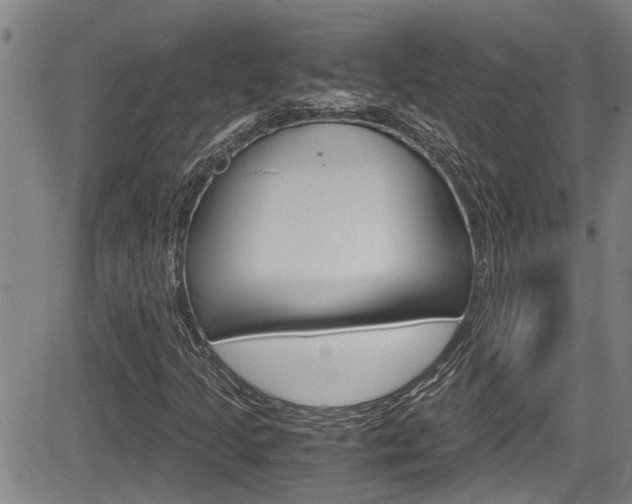 X0000084031205200702160843