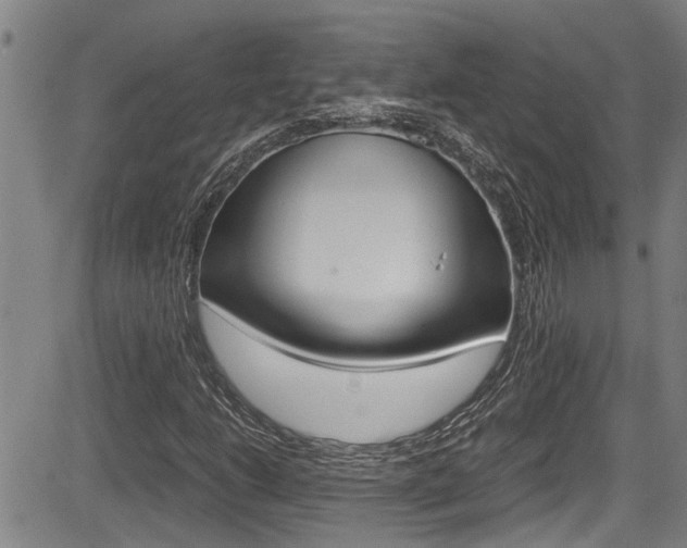 X0000084031206200702160843