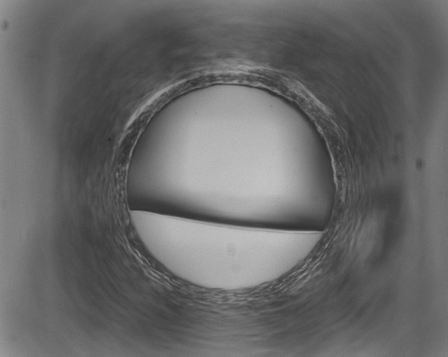 X0000084031208200702160843