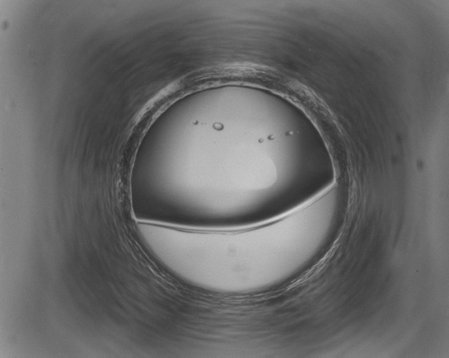 X0000084031210200702160843