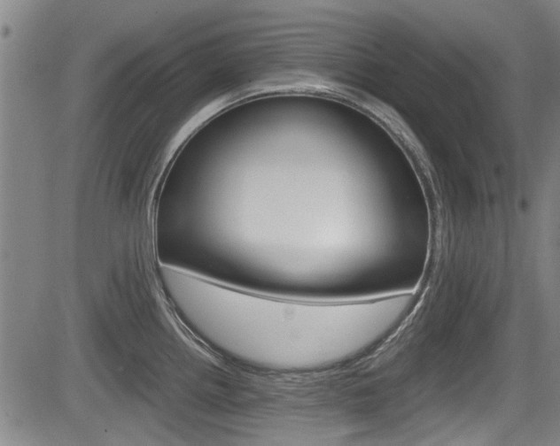 X0000084031242200702160844