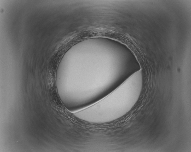 X0000084031253200702160843