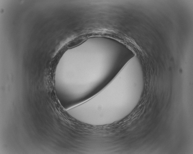 X0000084031256200702160843