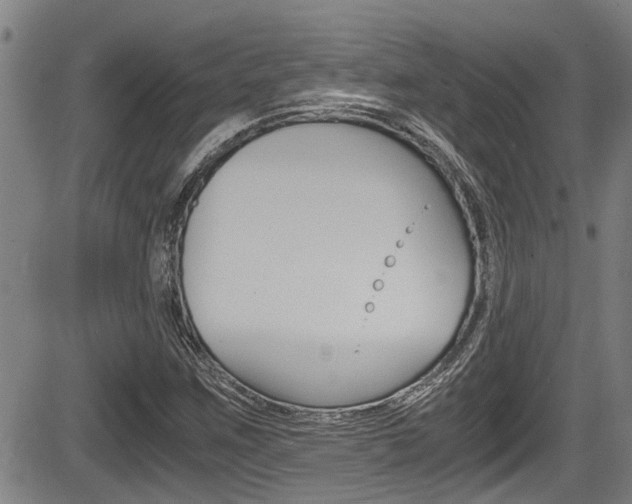 X0000084031259200702160843