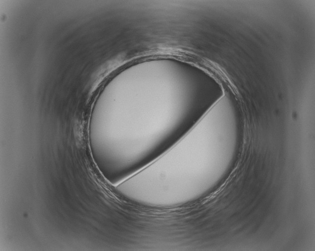 X0000084031260200702160843