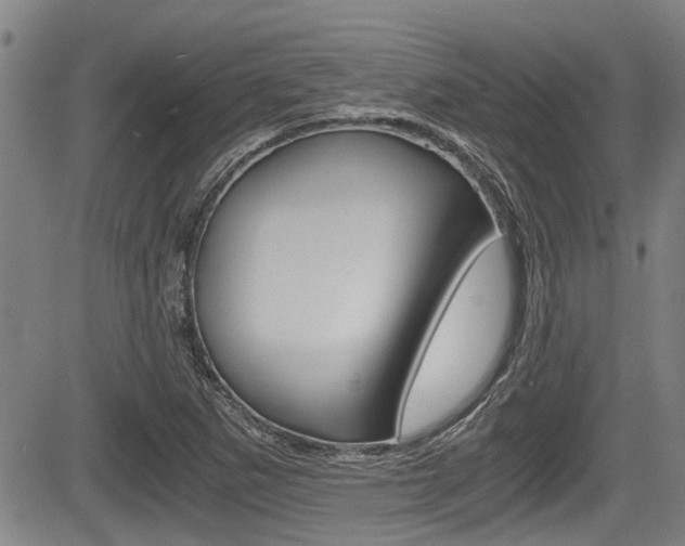 X0000084031265200702160843